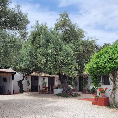 Casa Abanto Villa Ronda Eksteriør bilde