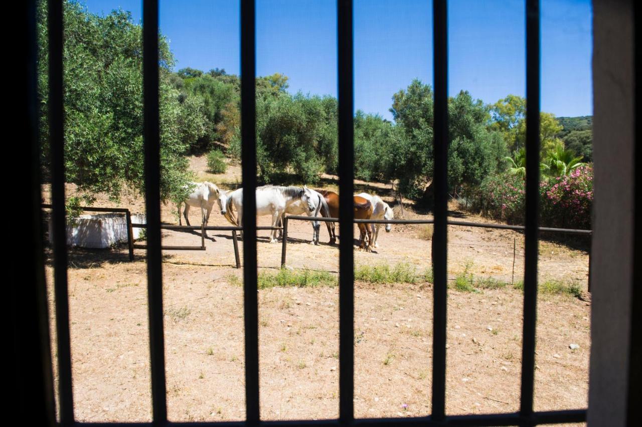 Casa Abanto Villa Ronda Eksteriør bilde