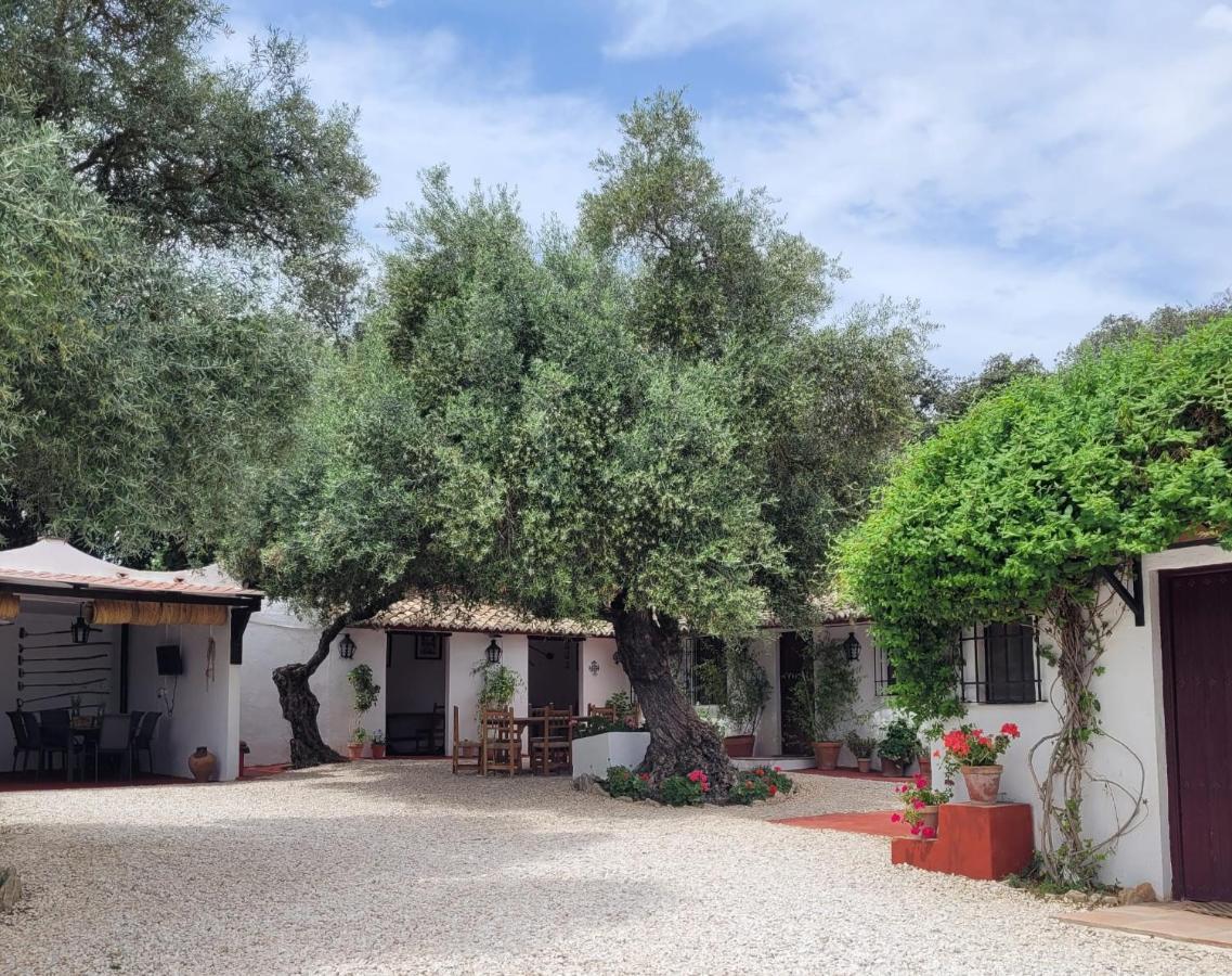 Casa Abanto Villa Ronda Eksteriør bilde
